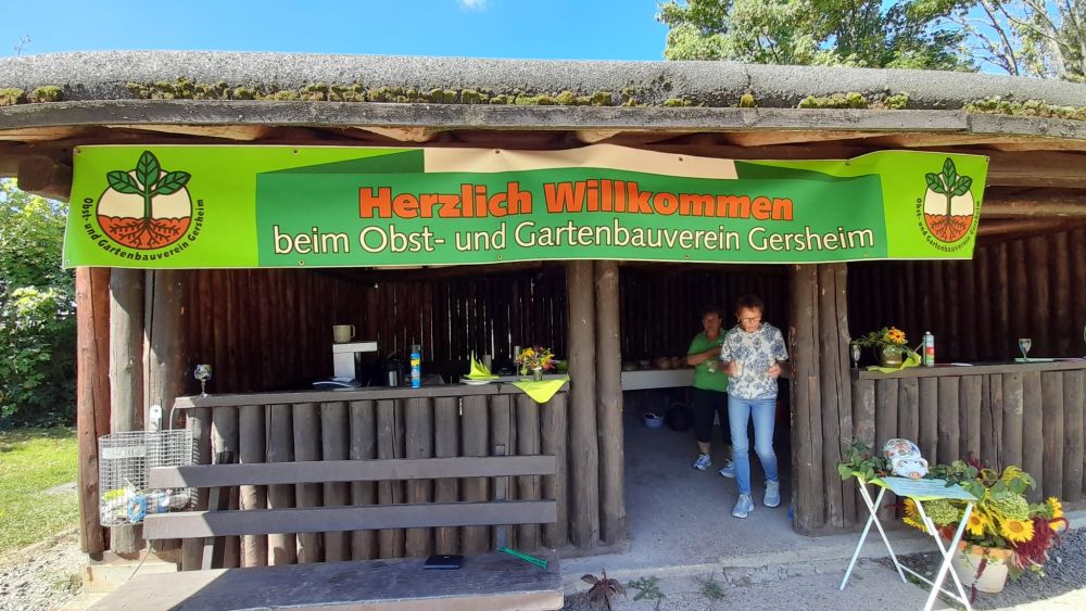 ogv gersheim